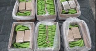 Police find $568 million of cocaine hidden in bananas