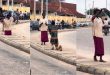 Mad couple oppress the singles as they display their love in the streets (VIDEO)