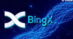 BingX